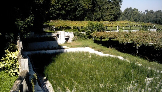 Horizontal flow wetlands in the winery Pazo de Señorans, SL