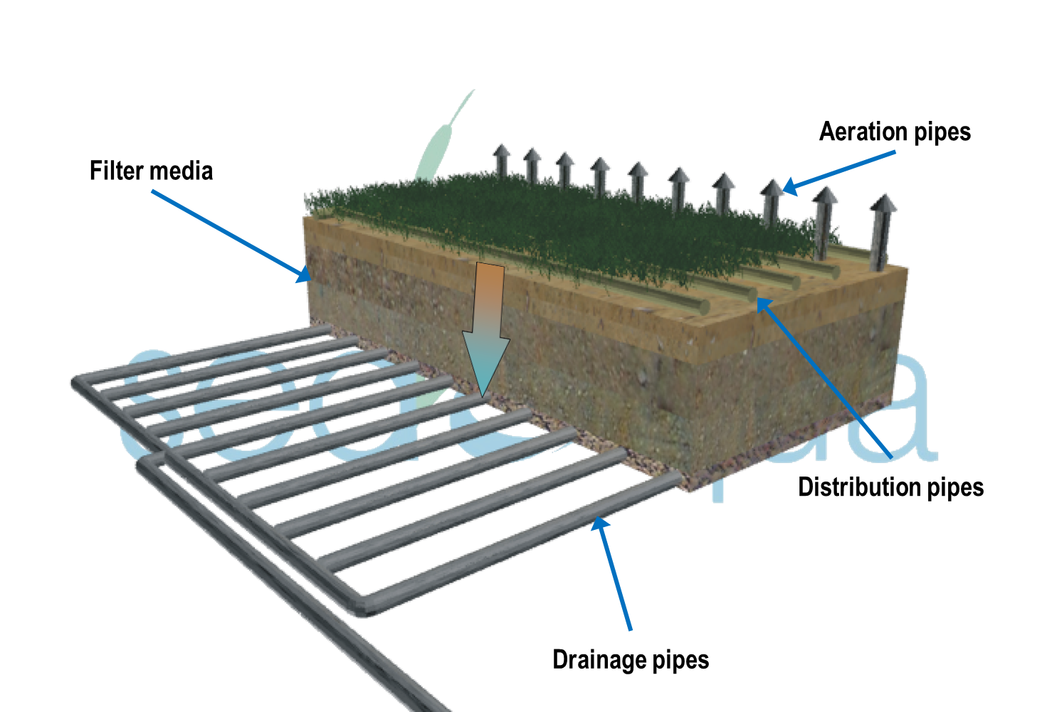 Diagram of a vertical flow wetland